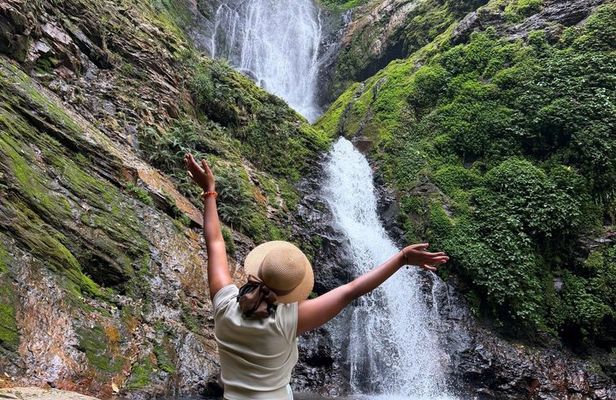 1-Day Nyungwe National Park: Canopy Walk, Zipline & Waterfall