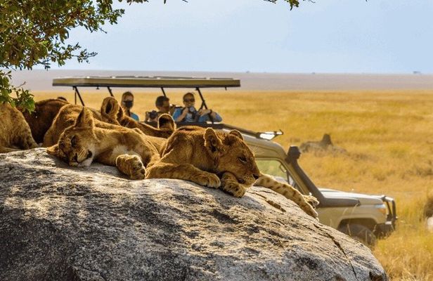 4 Days 3 Night Serengeti and Ngorongoro Safari