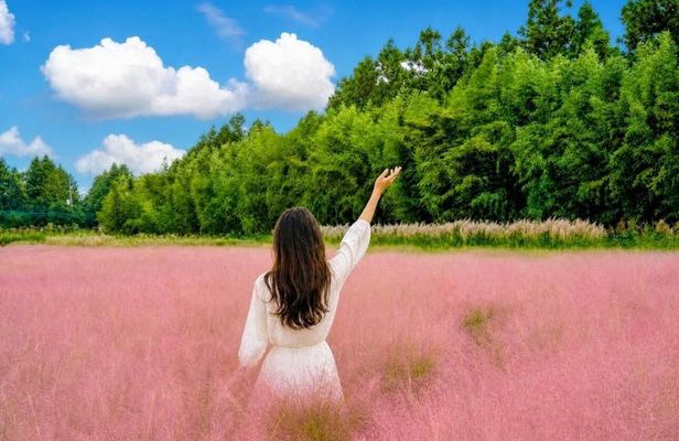 3 Day Bus Tour in Jeju UNESCO East, South and West Highlights