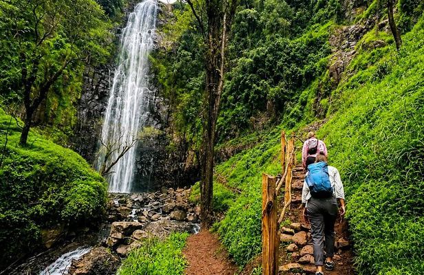 Arusha to Materuni Waterfalls and Coffee Culture Experience