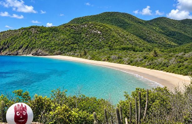 The Only 4x4 Adventure to Rendezvous Bay - Wilson Castaway Tour