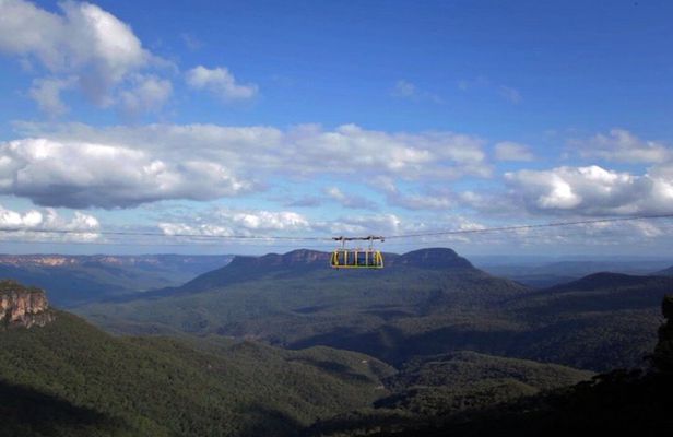 Sydney: Blue Mountains, Zoo Koala Photo & Scenic World
