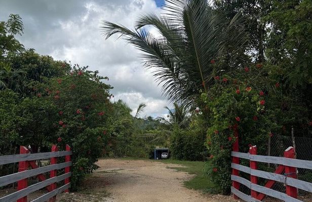 PRIVATE TOUR | Beyond the Resort: Local Life & Hidden Gems