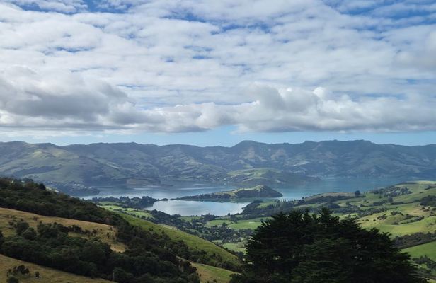 From Christchurch Akaroa and Banks Peninsula Private Tour