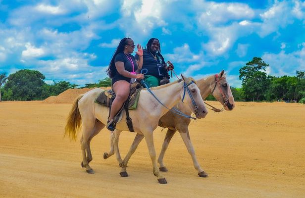 Punta Cana Horseback Riding & Macau Beach Experience