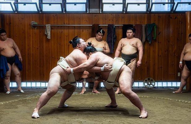 Watch Sumo Morning Practice at Stable in Tokyo