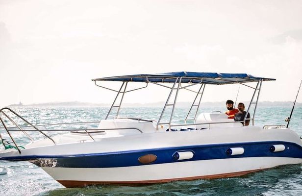 Speed Boat Whale Watching Mirissa Private Tour Breakfast Included