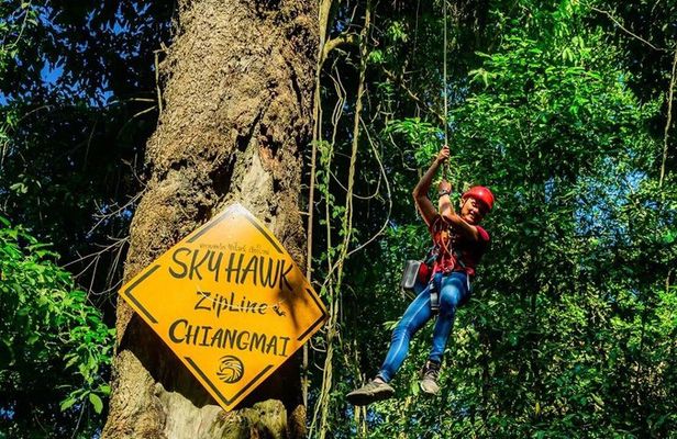 Chiang Mai Sky Hawk Zipline & ATV Adventure