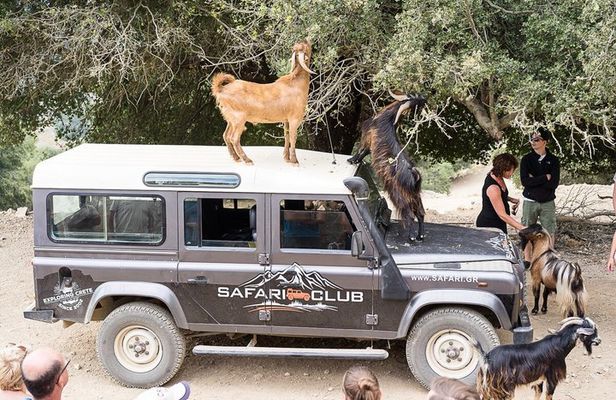 SAFARI CLUB: Land Rover Experience_Minoan Zeus Route with Lunch