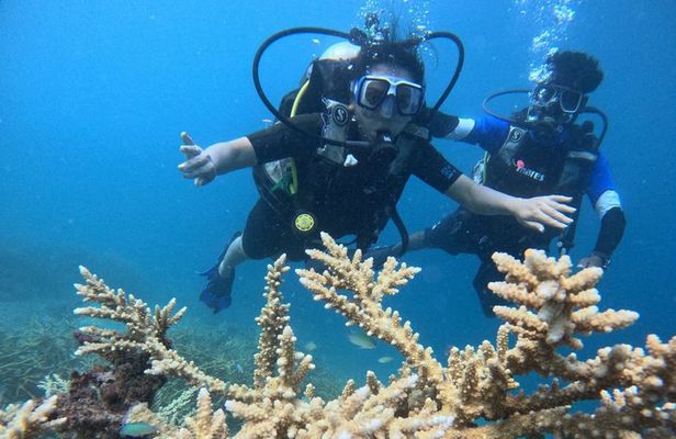 Scuba Diving in Havelock: Beginner Boat Dive, Choose Your Reef