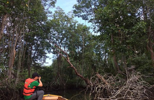 Private Bandar Highlight, Water Village & Proboscis Monkey Tour