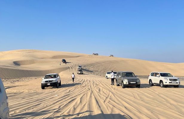 Doha: Desert Safari (Private Tour) with Pick Up & Drop Off