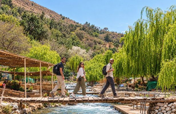 Marrakech: Atlas Mountains, Waterfalls, Hike & Lunch –Small Group