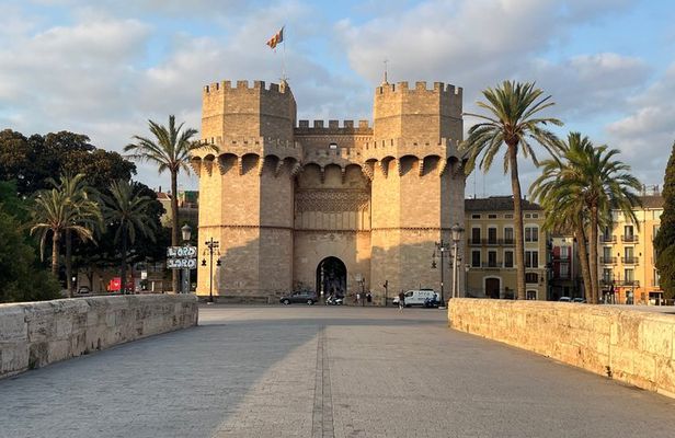Private tour of Valencia: old town, El Carmen and Street Art