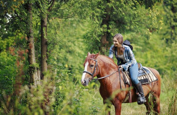 Horseback Riding outside of Houston