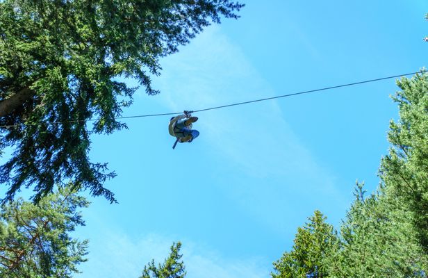 Camano Island Zipline Experience