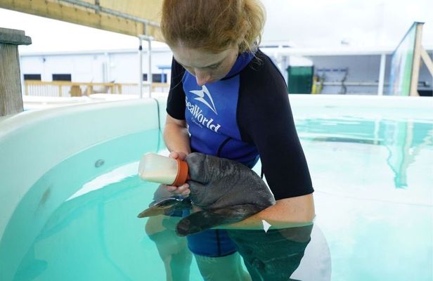 SeaWorld Orlando Rescue tour