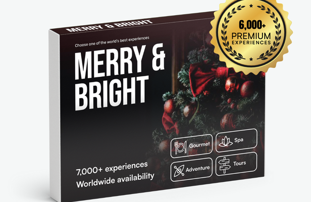 Merry & Bright 🎀 Limited Edition