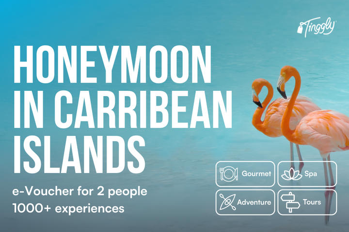 Honeymoon in the Caribbean